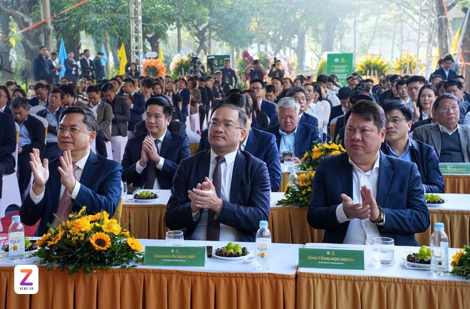 sân bay long thành ảnh 2 san bay long thanh anh 2