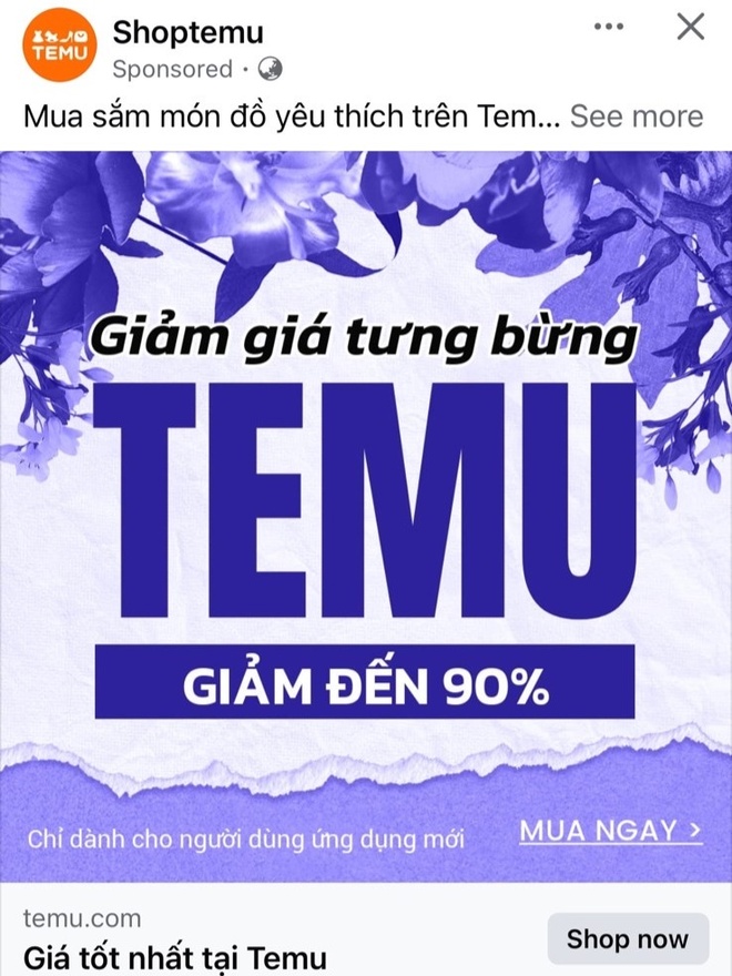 san temu vi pham,  san tmdt temu,  san tmdt trung quoc anh 1