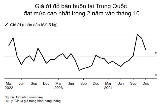trong ot kinh doanh,  thu hoach ot,  ot bot cay anh 1