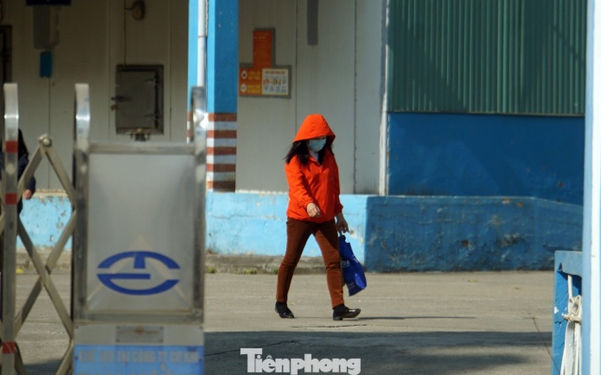 Cổ Phiếu Công Ty Đồ Hộp Hạ Long Giảm Sâu Giữa Khủng Hoảng