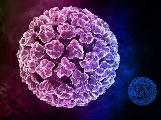 lay nhiem virus HPV anh 1