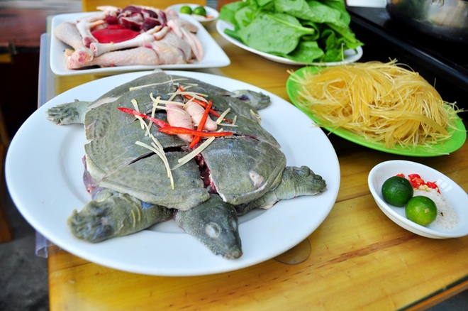 Món ăn từ thịt gà và ba ba trong ẩm thực Việt Nam