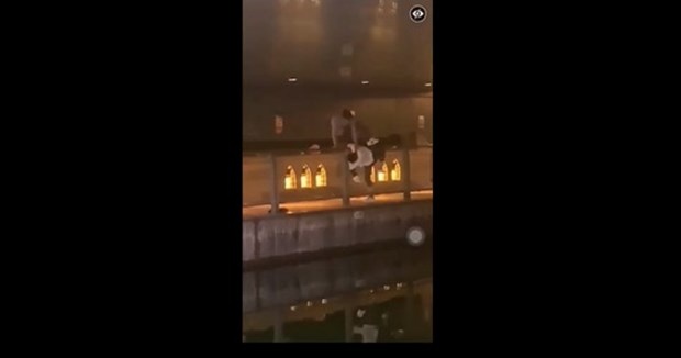 nguoi viet bi sat hai tai nhat anh 1