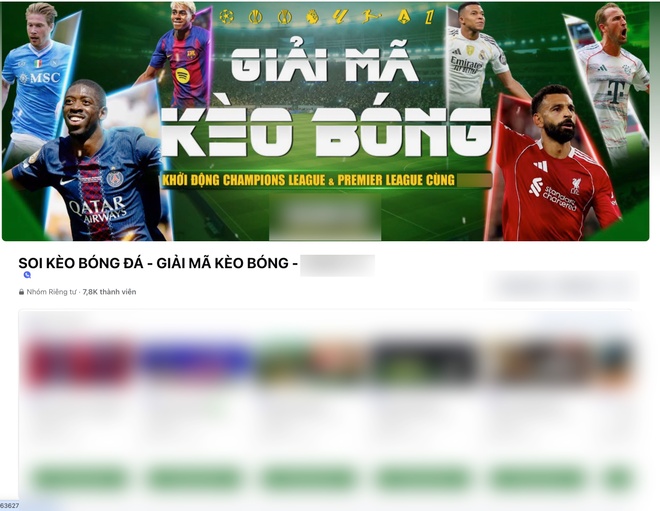 Chau Viet Cuong ca do anh 1