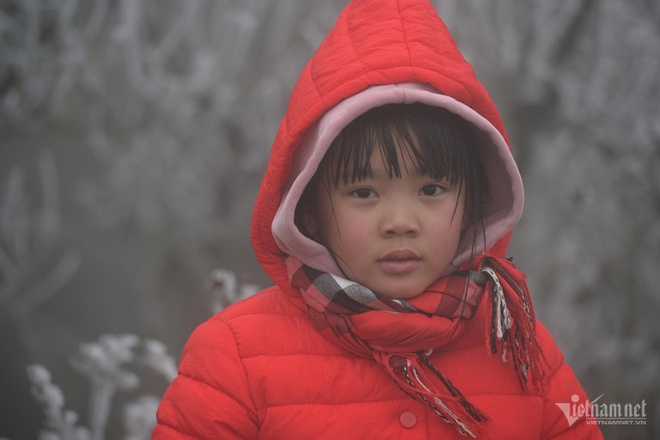 du bao thoi tiet anh 1