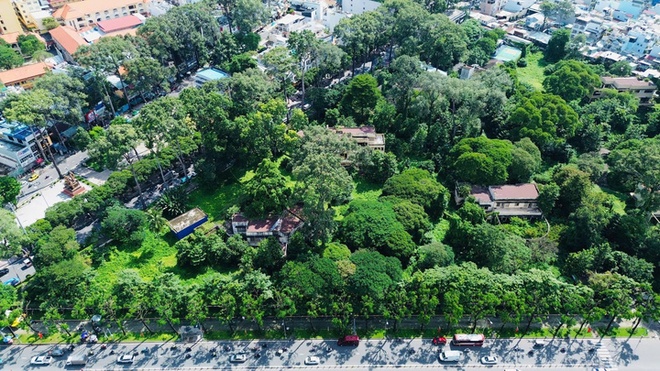 Dai tuong niem Covid-19 TP.HCM anh 2