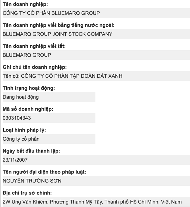 Bluemarq Group anh 1