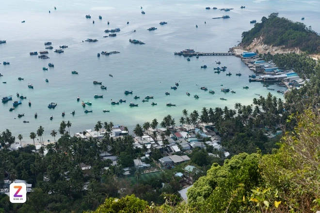 dao Nam Du anh 2