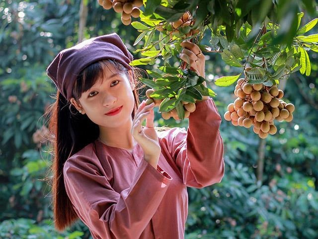 Nhãn lồng là đặc sản của tỉnh nào? - Địa điểm ăn uống