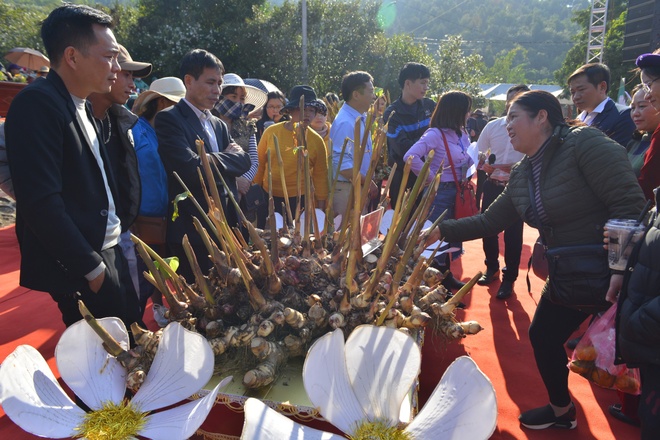 Hoi hoa so Binh Lieu anh 18