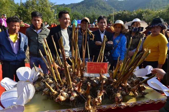 Hoi hoa so Binh Lieu anh 21