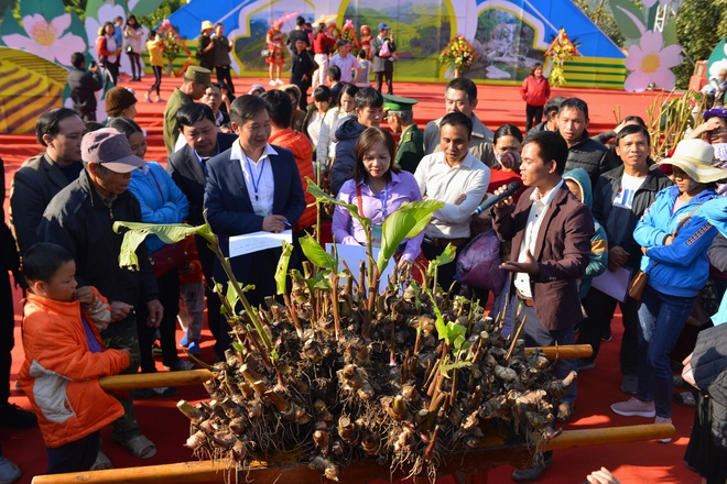 Hoi hoa so Binh Lieu anh 20