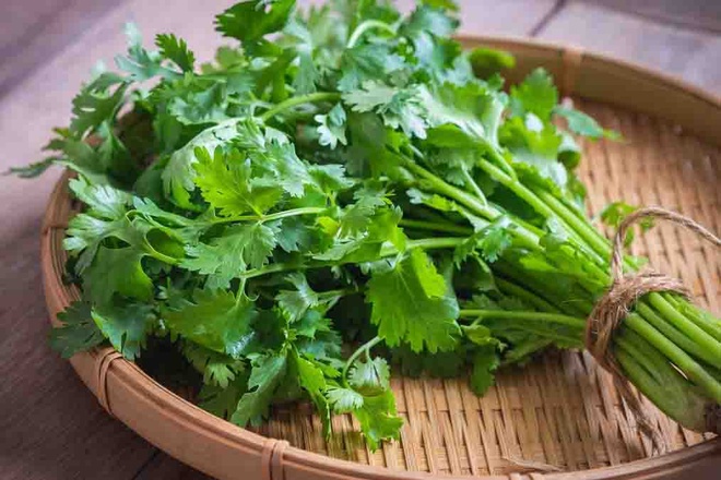 Vì sao khách Hàn Quốc mặc áo 'đừng cho rau mùi' khi du lịch Việt Nam? | VOZ