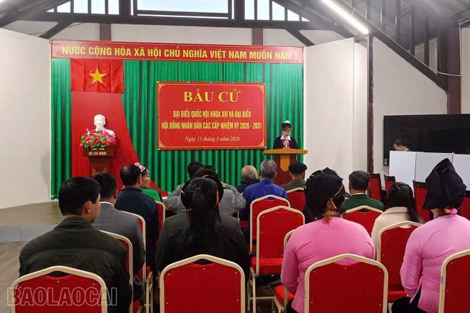 Bau cu anh 2