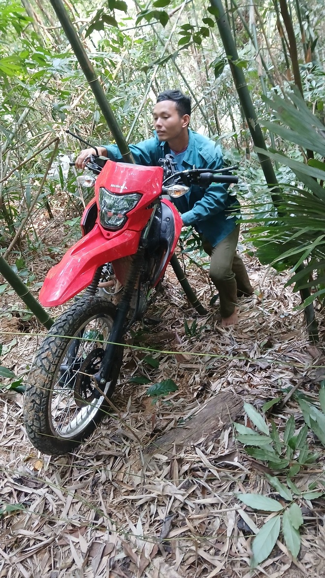 Lang Son,  lac trong rung anh 1