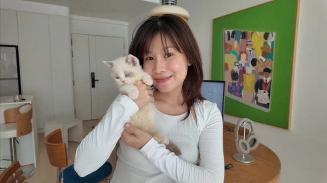 nghi viec vi kiet suc, lam viec tu xa, thiet ke UI UX, gen Z nghi viec, suc khoe tinh than, lam remote, luong 3000 usd, ap luc cong viec, thieu ngu keo dai, can bang cuoc song, trai nghiem nguoi dung, chuyen nghe lap trinh, tu hoc thiet ke, freelance UI UX, met moi cong viec, thiet ke tu xa, startup cong nghe, designer engineer, nghi viec co nen, gioi tre burnout anh 2