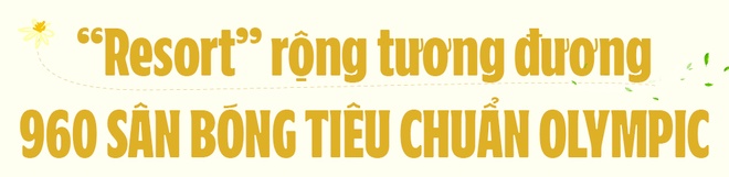 Trang trại Vinamilk ảnh 2 Trang trai Vinamilk anh 2