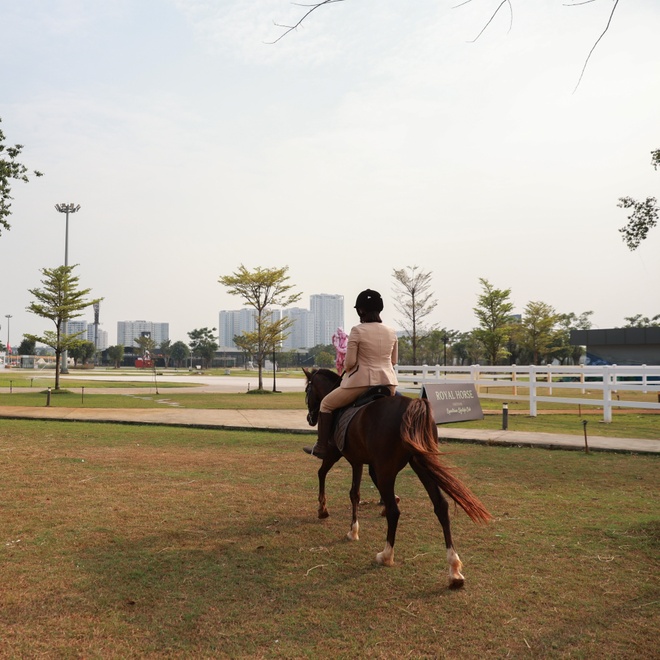 Royal Horse Vietnam – Kids Horse Riding at The Global City