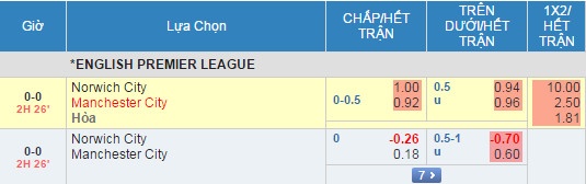 Norwich vs Man City anh 16