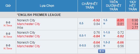 Norwich vs Man City anh 14