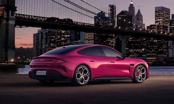 xe dien gia re anh 1