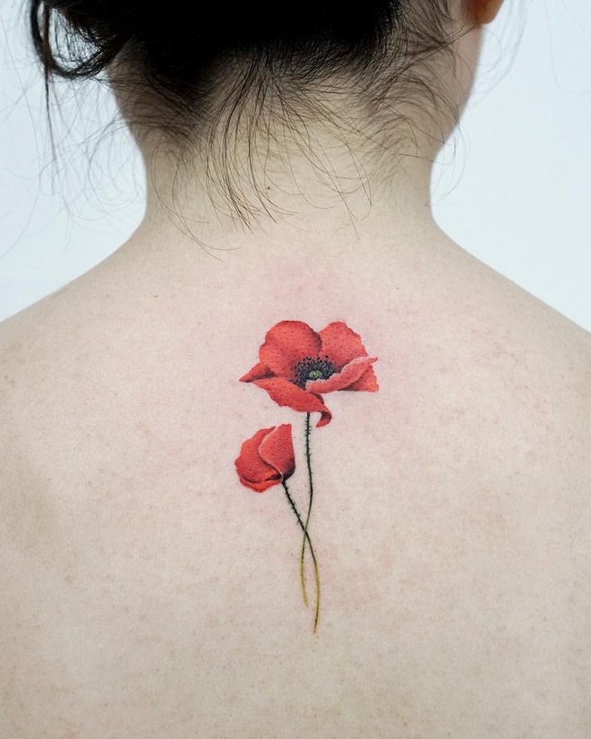 Century Ink - Hoa anh túc [Poppy flower tattoo] - loài hoa... | Facebook