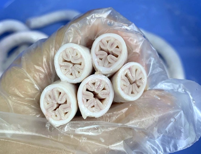 long xe dieu o tp.hcm anh 1 long xe dieu o tp.hcm anh 1
