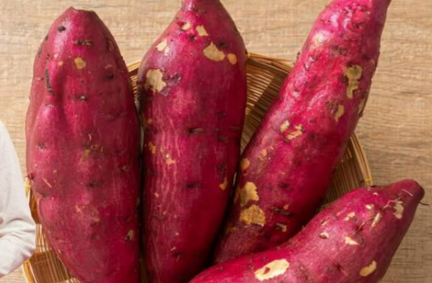 5 t&aacute;c dụng bất ngờ khi ăn khoai lang v&agrave;o m&ugrave;a đ&ocirc;ng | Znews.vn