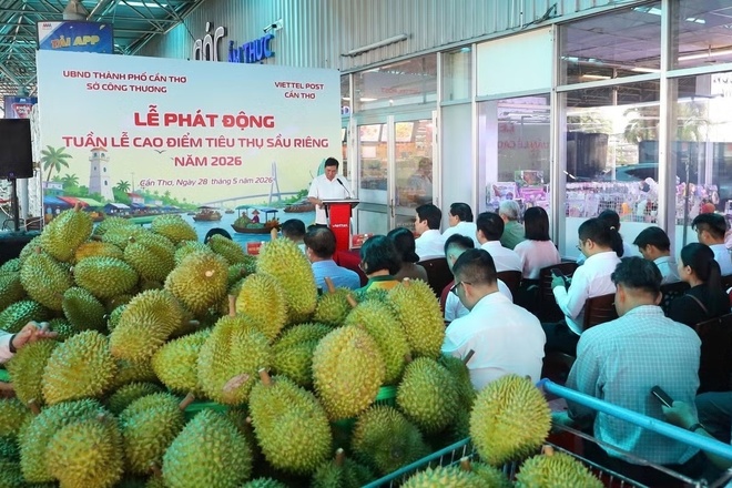 'giai cuu' sau rieng anh 1
