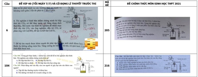 de thi tot nghiep mon Sinh anh 1