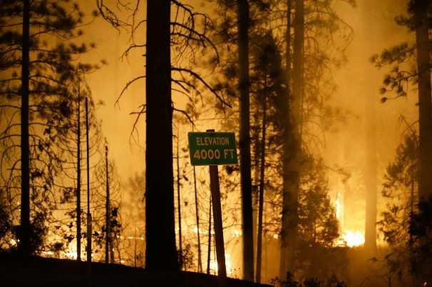 Western_Wildfire0abd4.jpg