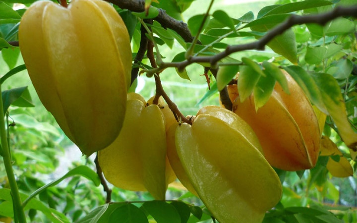 an gi khi bi viem xoang anh 5