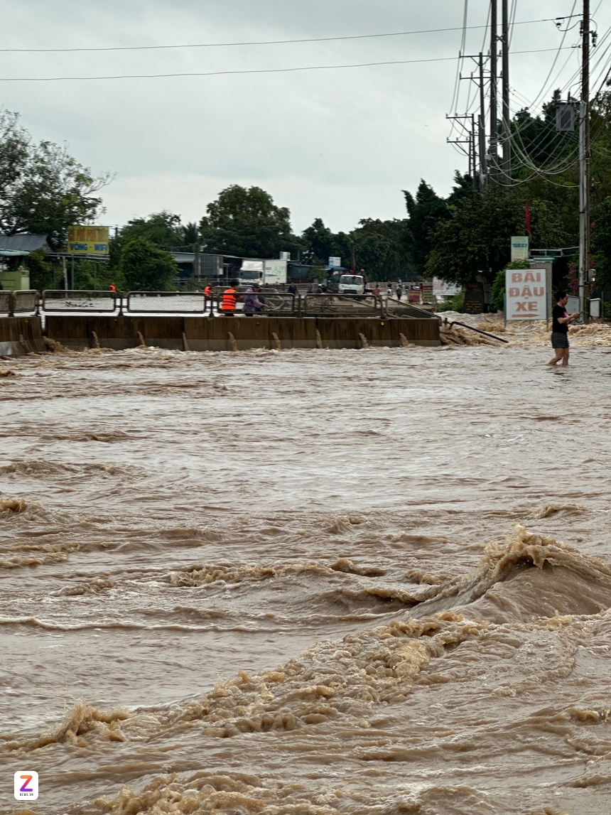 nha trang ảnh 4 nha trang anh 4