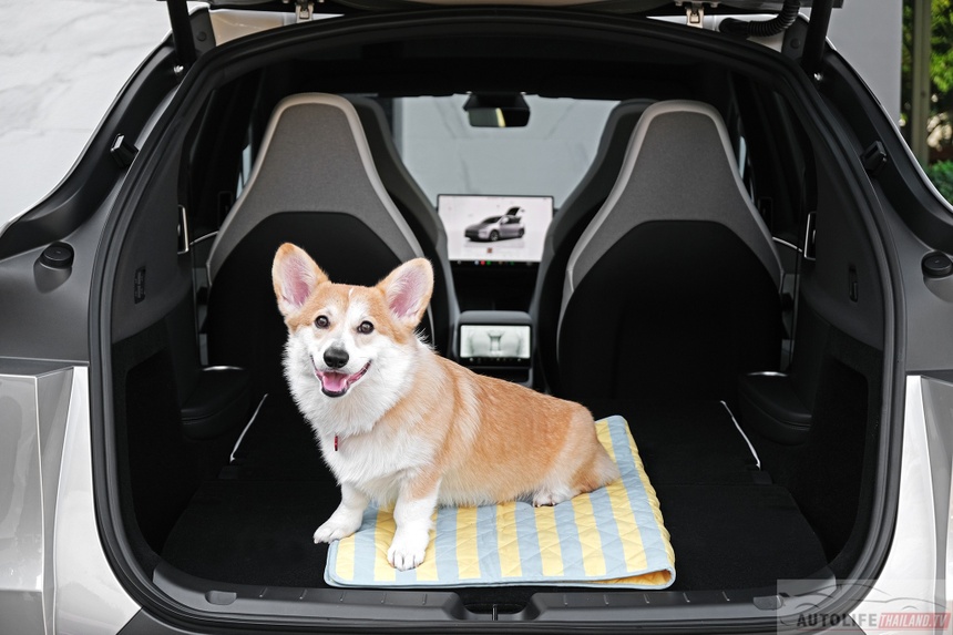 tesla,  tesla model y,  tesla model y l,  model y,  model y l,  thai lan,  xe dien,  ev,  trung quoc,  bims anh 21