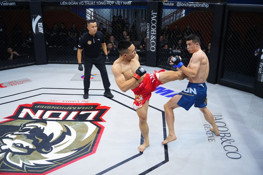MMA anh 1