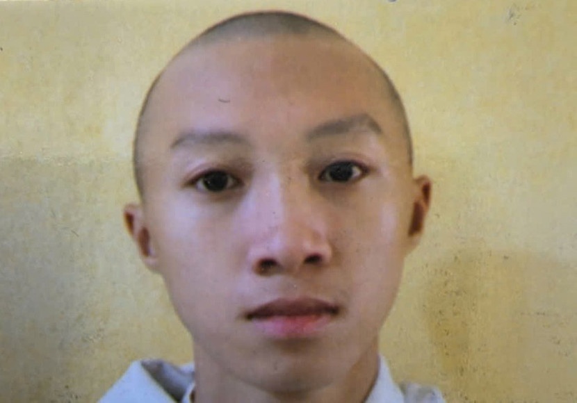 Gia mao sinh vien,  Lua dao chiem doat anh 1