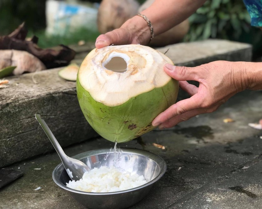 uong nuoc dua moi ngay anh 2