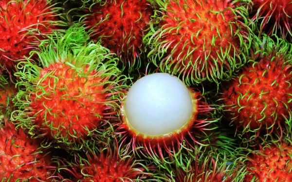Quả đầu mùa tươi ngon, chua ngọt đan xen dìu dìu, hương vị nhẹ nhàng thanh mát rất thích hợp giải nhiệt cho mùa hè.