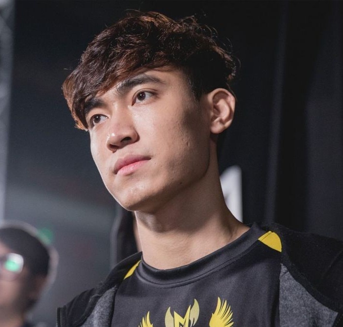 GAM Levi anh 1