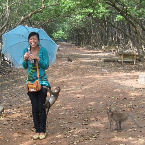 Can Gio anh 4
