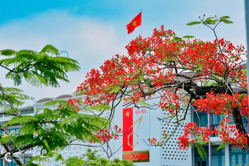 DH Bach khoa Ha Noi anh 1