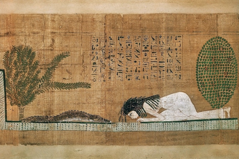 nu pharaoh anh 1