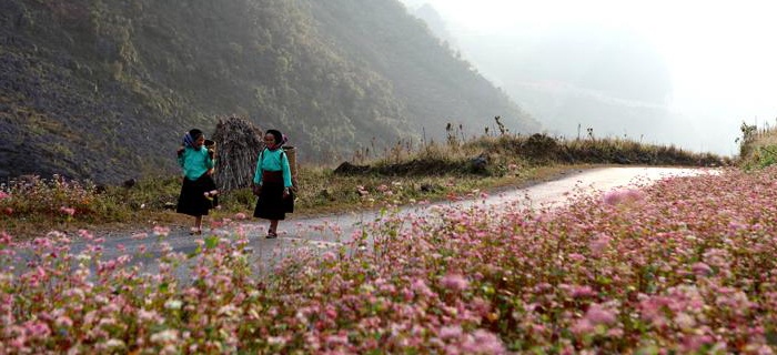 Tới Hà Giang, bạn không thể bỏ qua cột cờ Lũng Cú, dinh nhà Vương, cao nguyên đá Đồng Văn, chợ tình Khau Vai.