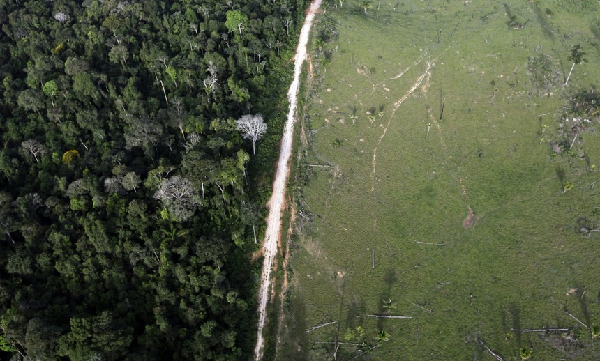 Chính phủ Brazil đã nỗ lực giảm nạn phá rừng, với mục tiêu đạt 80% vào năm 2020, nhưng vẫn chưa đạt nhiều kết quả.