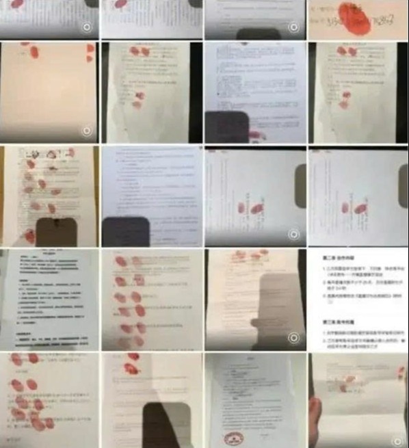 giám đốc xiaomi ngoại tình ảnh 4 giam doc xiaomi ngoai tinh anh 4