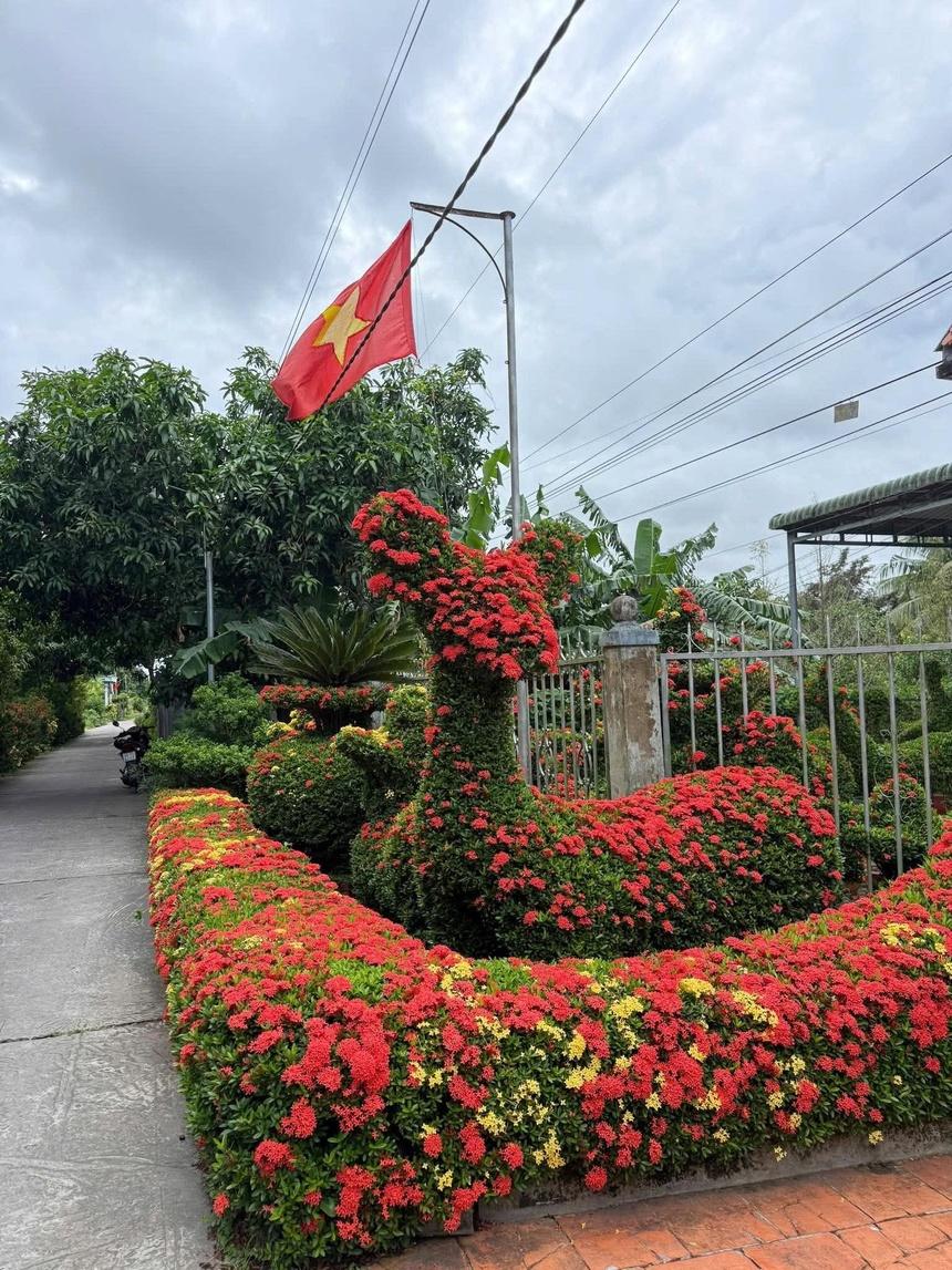 dàn bông ảnh 4