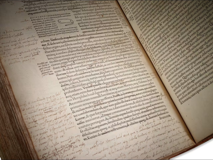 dau gia sach co anh 1