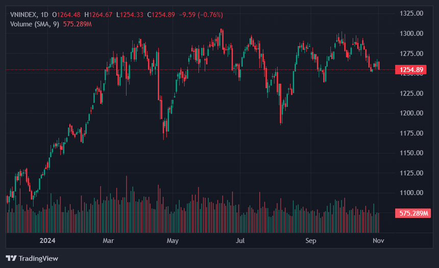 VN-Index có vượt được 1.300 điểm năm nay?