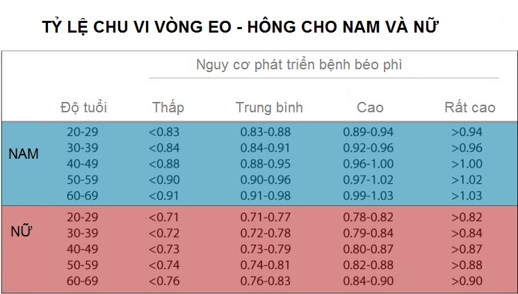Cach tinh can nang,  chieu cao chuan anh 4
