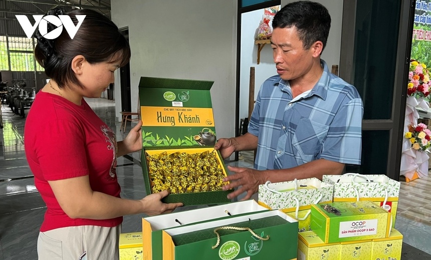 che xanh,  doi che anh 4
